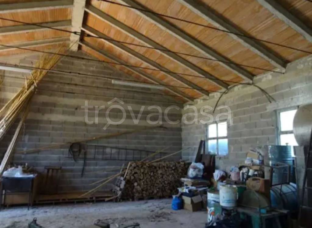 immagine annuncio 4 di 13