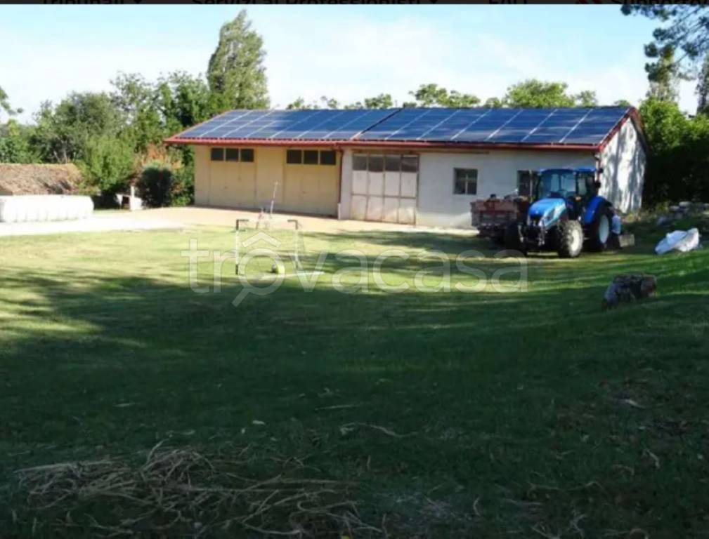 immagine annuncio 6 di 13