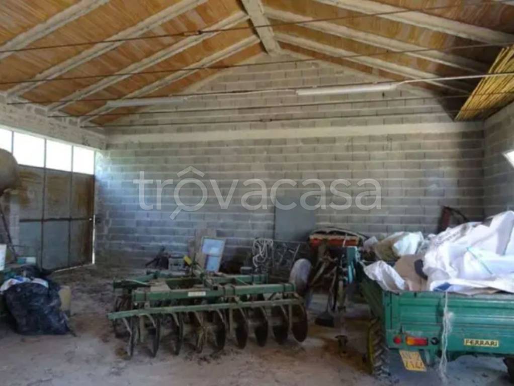 immagine annuncio 8 di 13