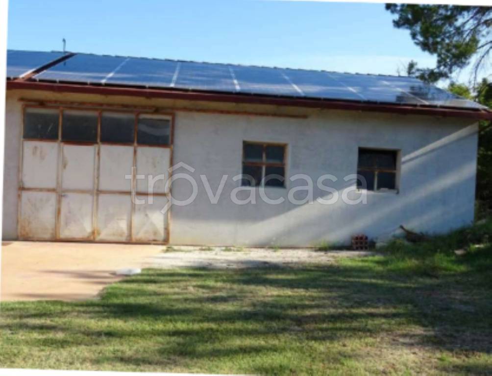 immagine annuncio 9 di 13