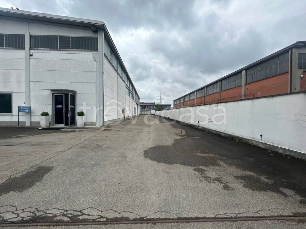 immagine annuncio 4 di 15