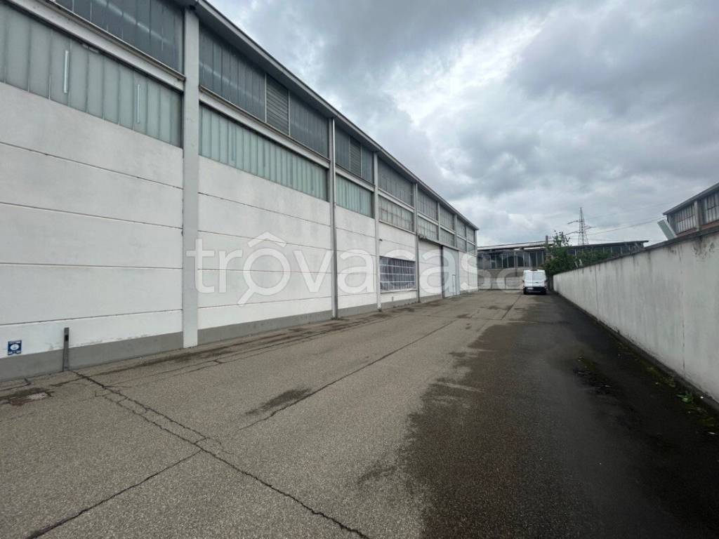 immagine annuncio 5 di 15