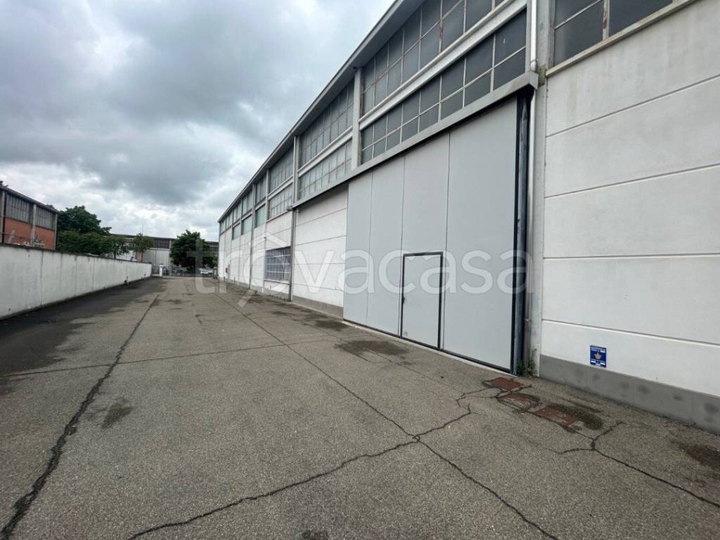 immagine annuncio 6 di 15