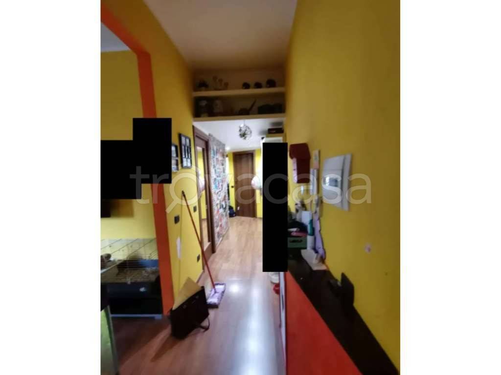 immagine annuncio 2 di 12