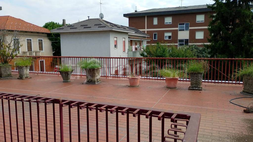 immagine annuncio 2 di 12