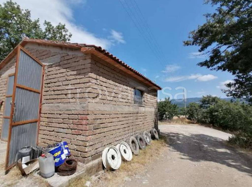 immagine annuncio 9 di 14