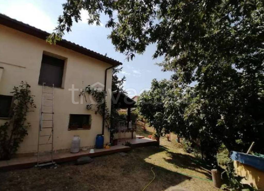 immagine annuncio 13 di 14