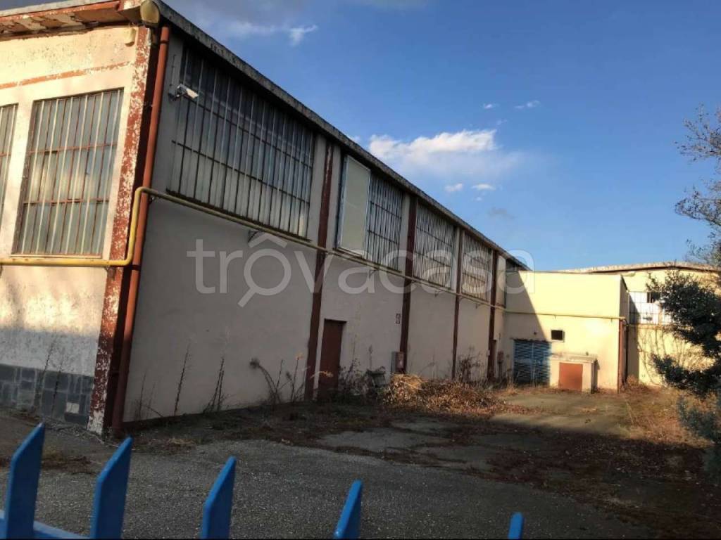 immagine annuncio 10 di 15