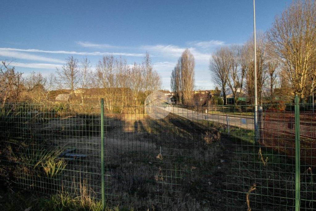 immagine annuncio 9 di 12