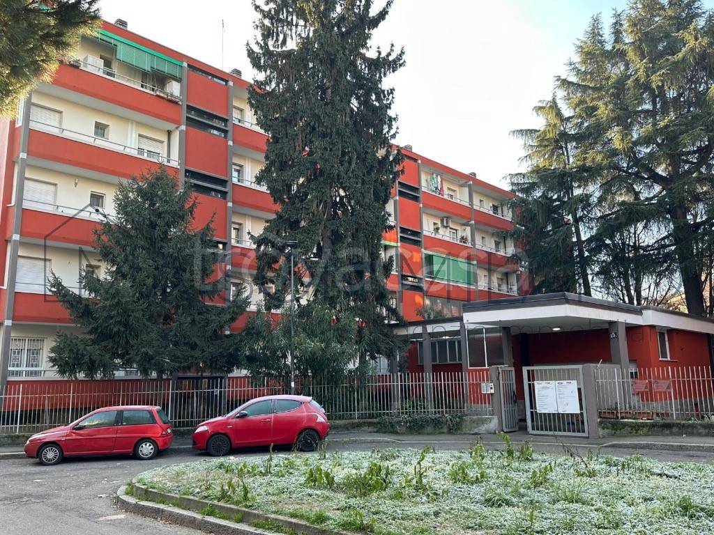 immagine annuncio 6 di 7