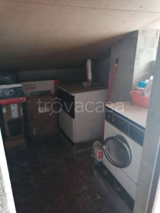 immagine annuncio 7 di 14