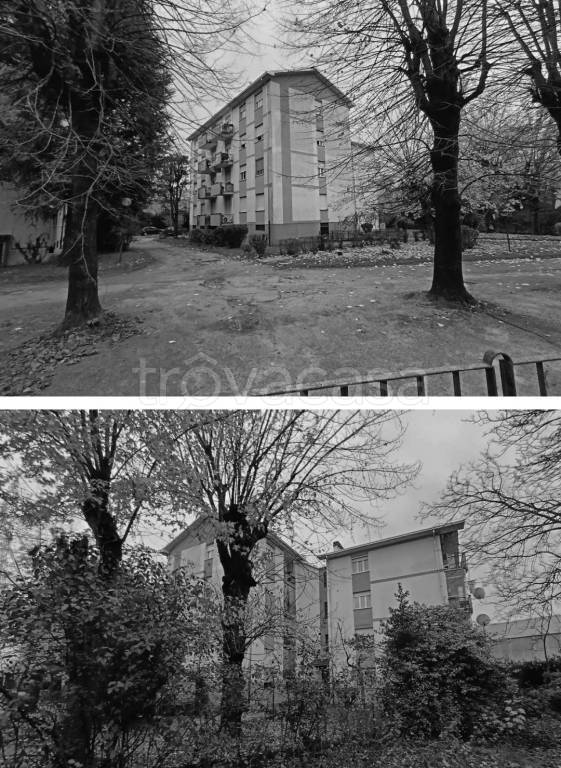 immagine annuncio 1 di 14