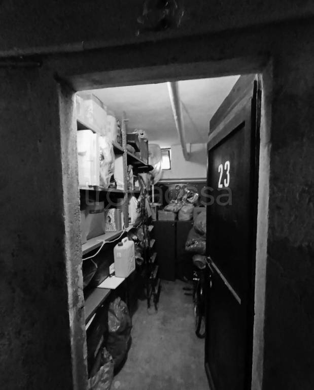 immagine annuncio 2 di 14