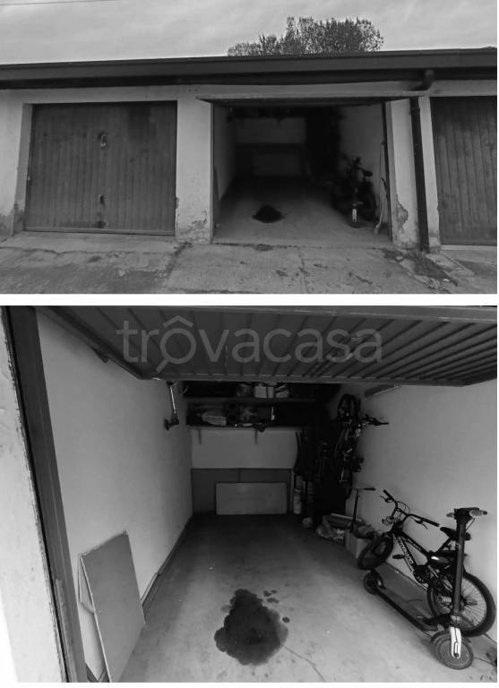 immagine annuncio 3 di 14