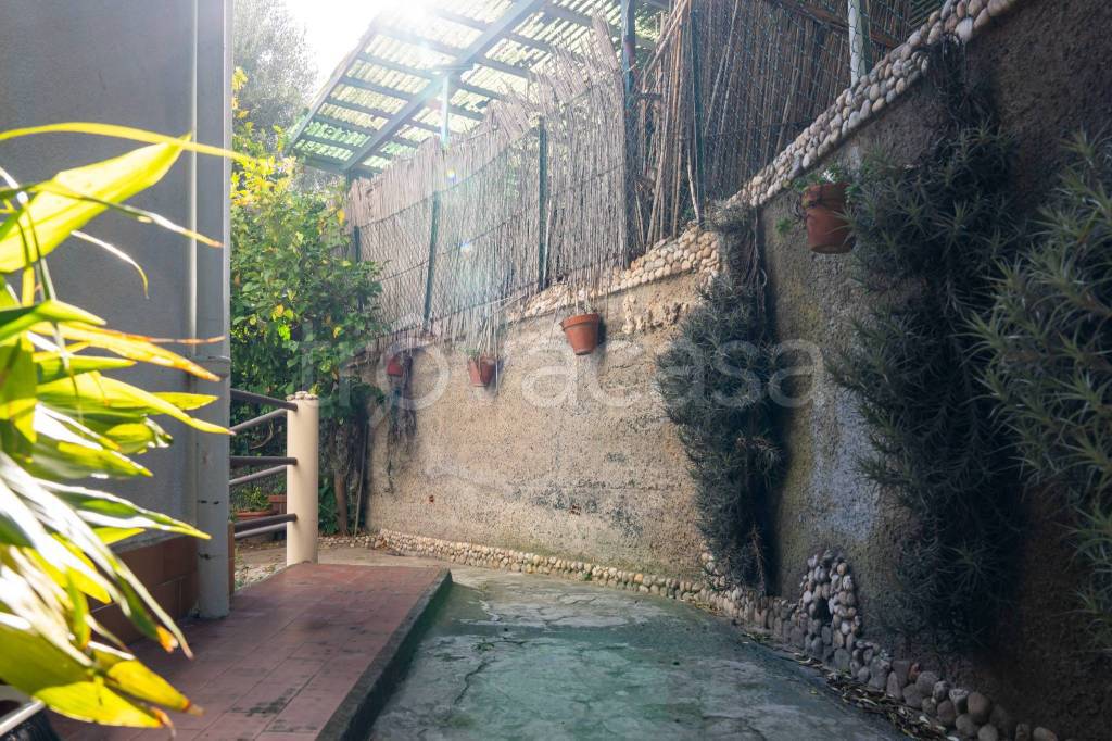 immagine annuncio 12 di 14