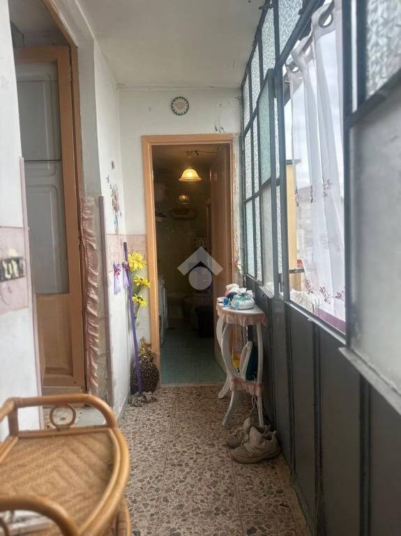 immagine annuncio 12 di 14