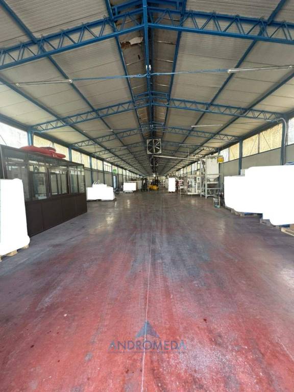 immagine annuncio 3 di 8