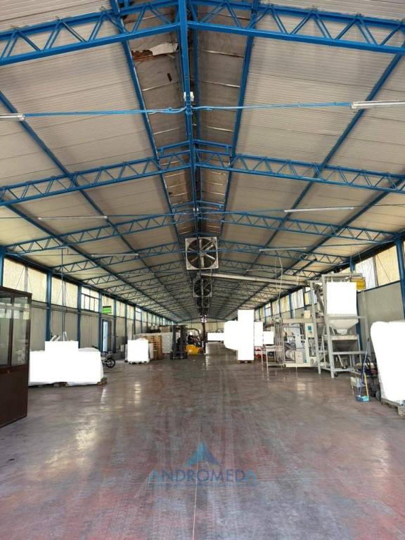 immagine annuncio 4 di 8