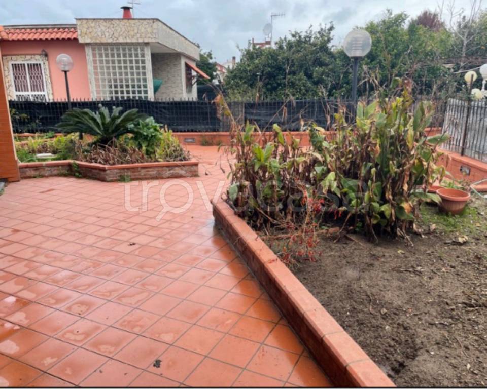 immagine annuncio 9 di 12