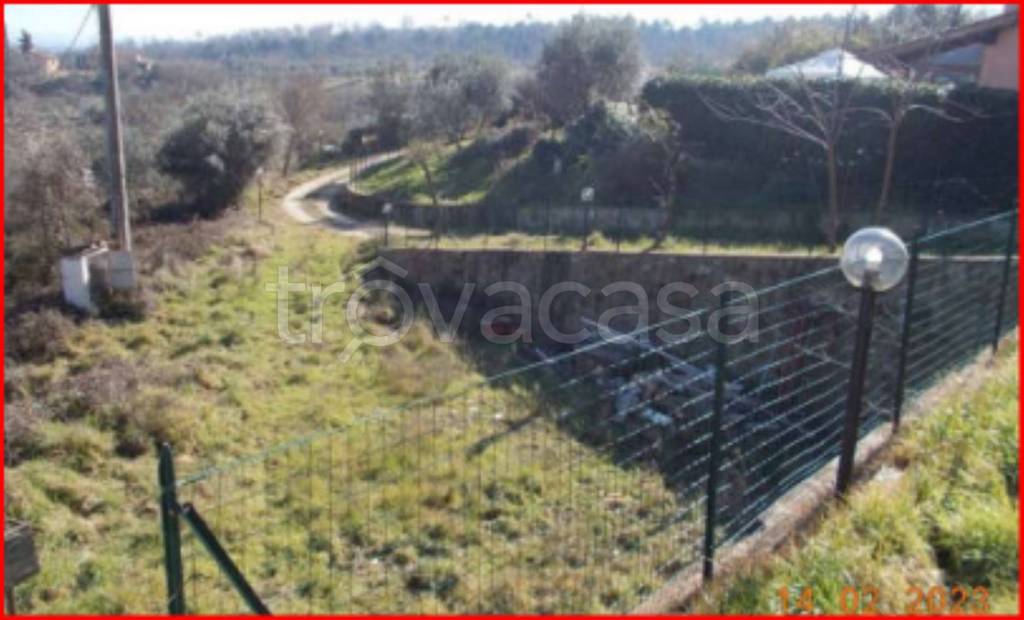 immagine annuncio 4 di 13