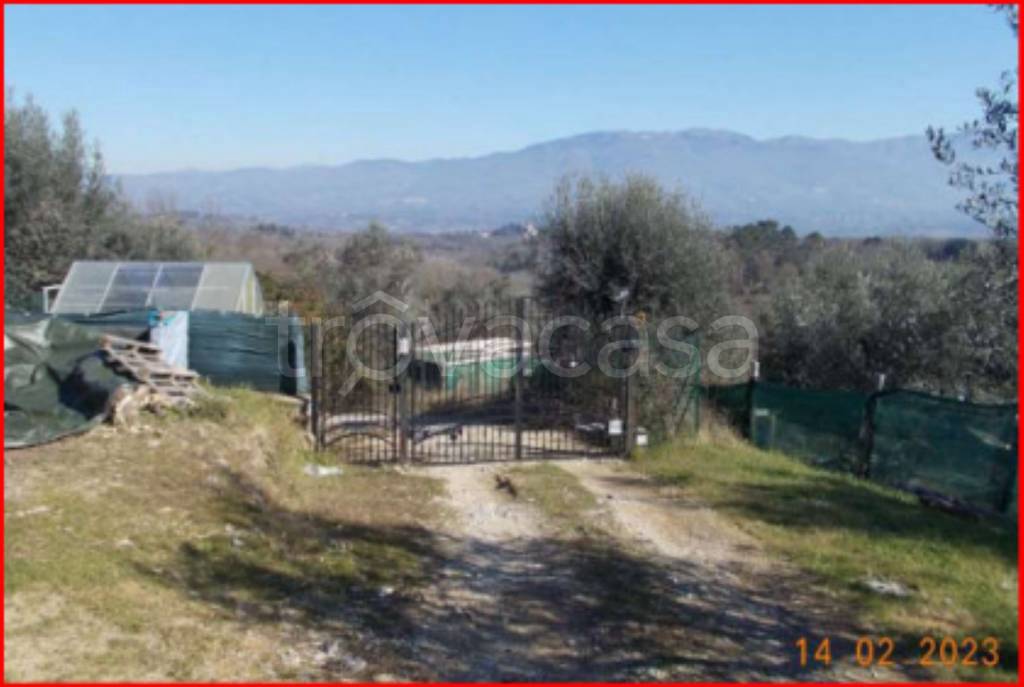 immagine annuncio 6 di 13