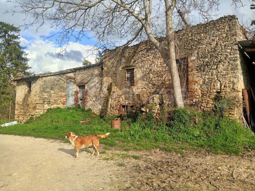 immagine annuncio 2 di 8