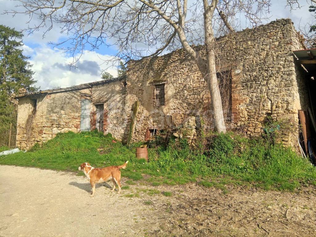 immagine annuncio 3 di 8