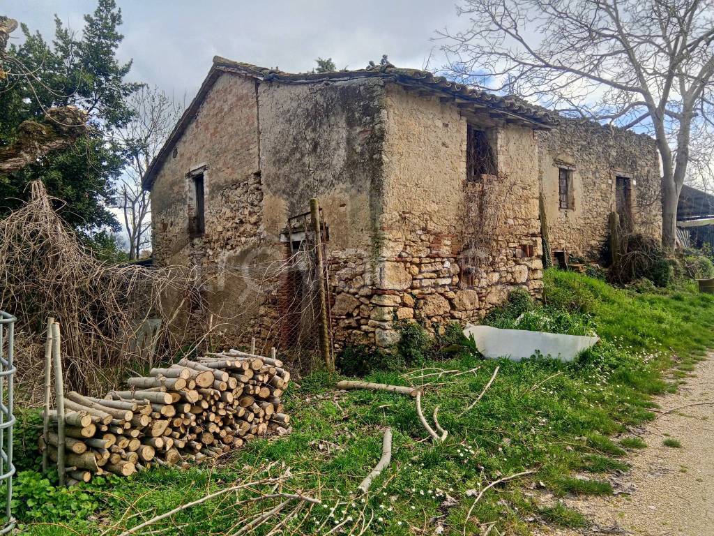 immagine annuncio 5 di 8