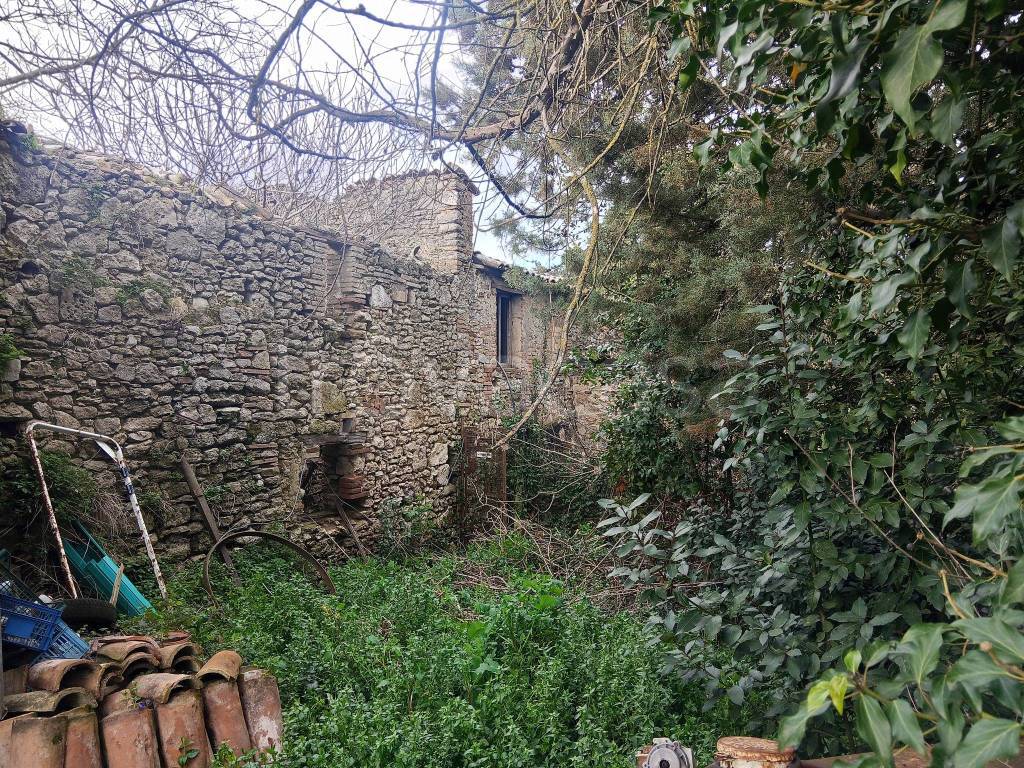 immagine annuncio 6 di 8