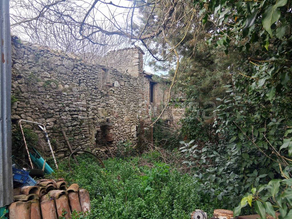 immagine annuncio 7 di 8