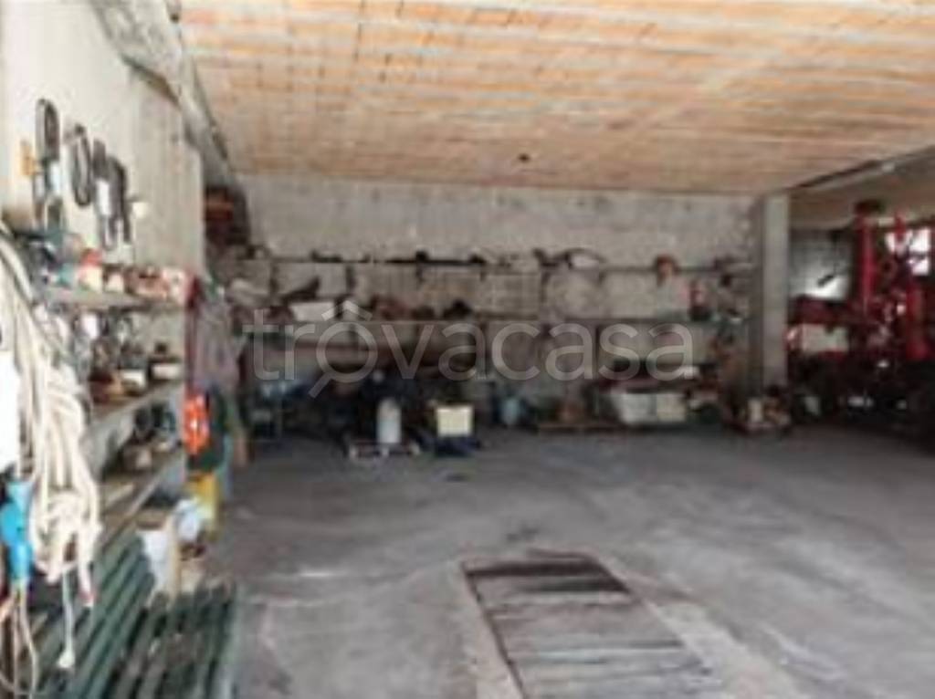 immagine annuncio 5 di 13