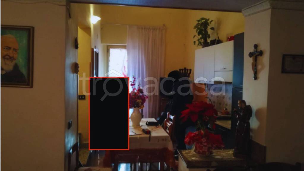 immagine annuncio 5 di 14