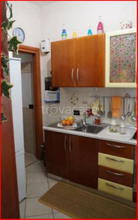 immagine annuncio 5 di 14