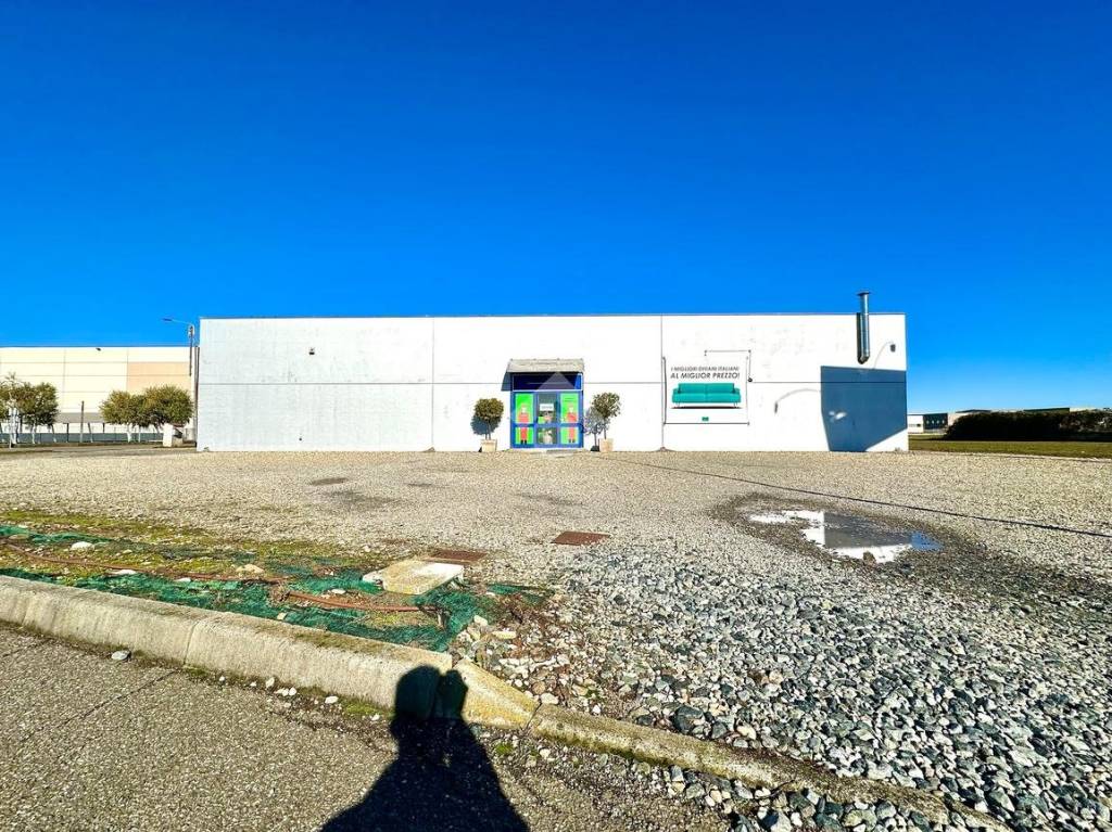 immagine annuncio 2 di 15