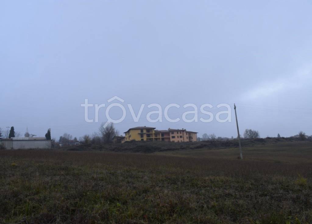 immagine annuncio 4 di 12