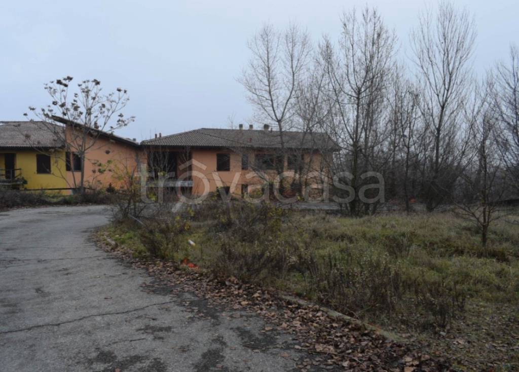 immagine annuncio 6 di 12