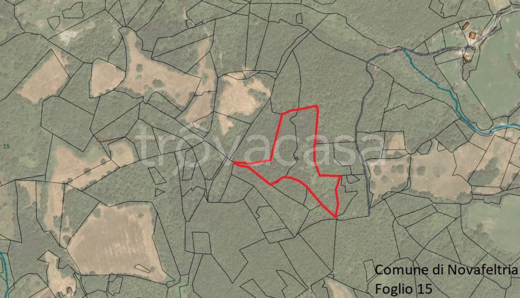 immagine annuncio 1 di 8