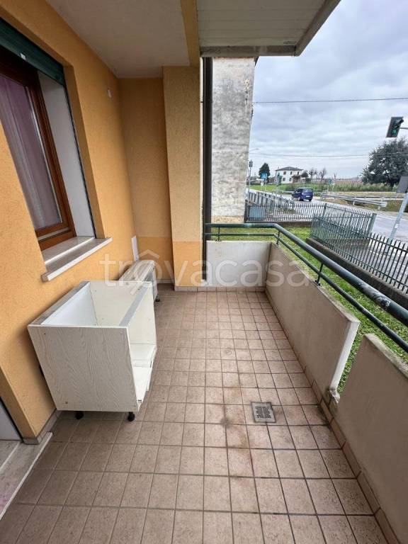 immagine annuncio 6 di 14