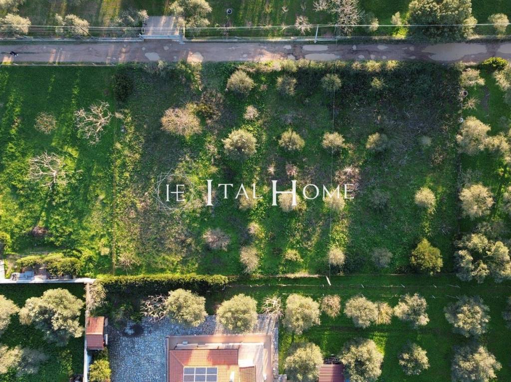 immagine annuncio 1 di 7