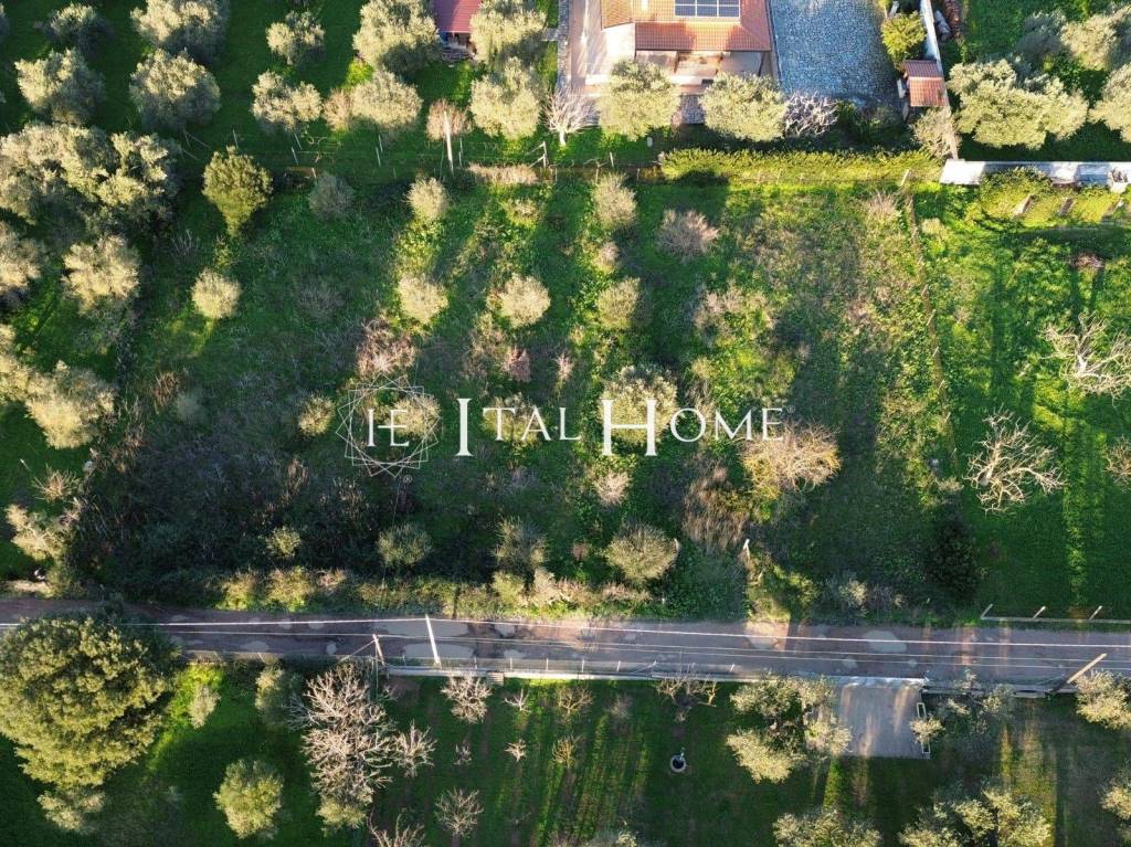 immagine annuncio 3 di 7