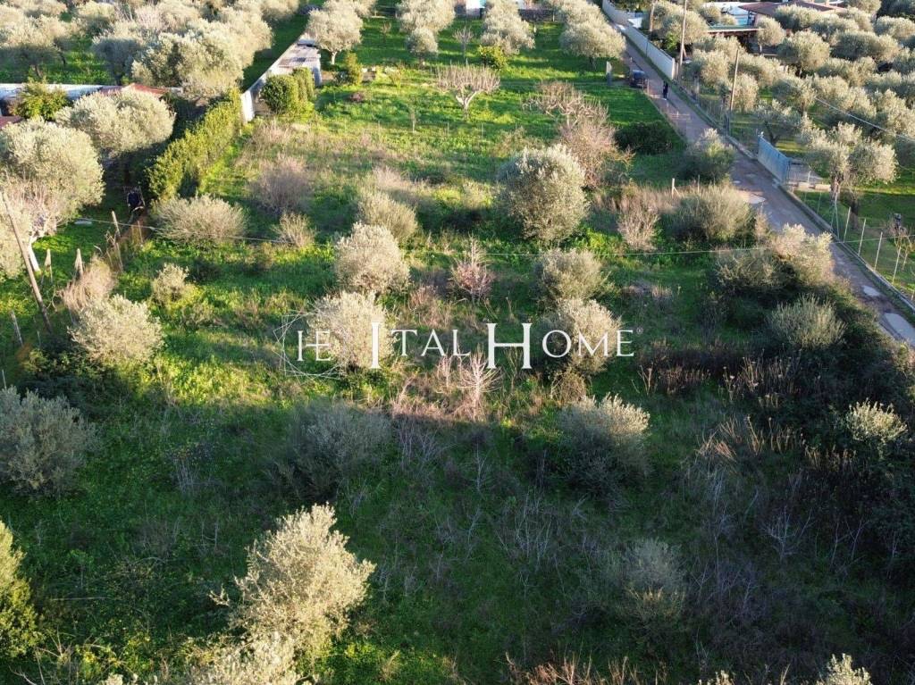 immagine annuncio 4 di 7