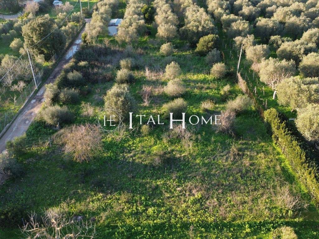 immagine annuncio 5 di 7