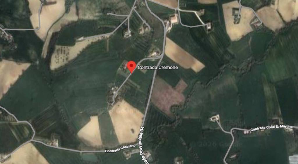 immagine annuncio 5 di 11