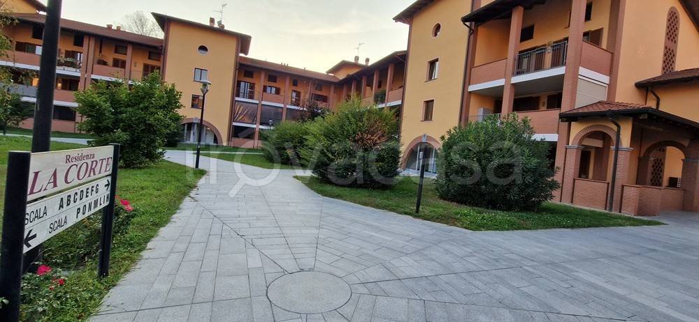 immagine annuncio 2 di 14