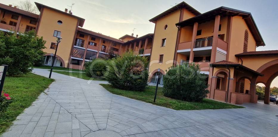 immagine annuncio 5 di 14