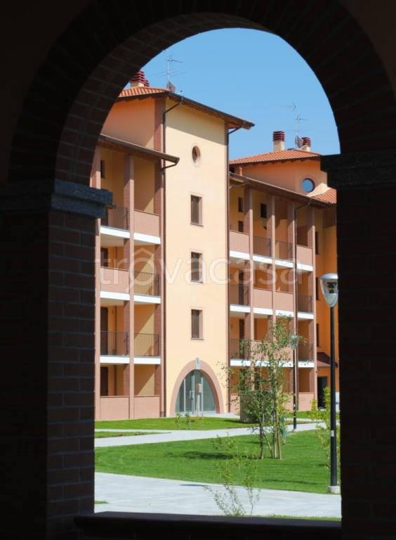 immagine annuncio 1 di 14