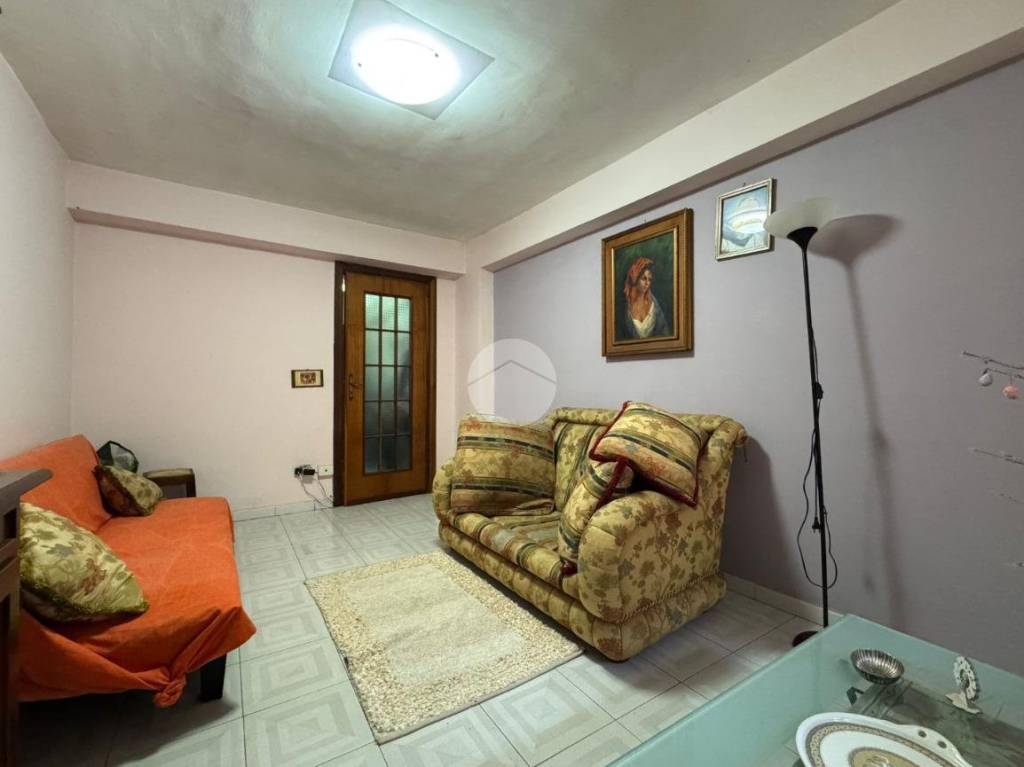 immagine annuncio 6 di 14