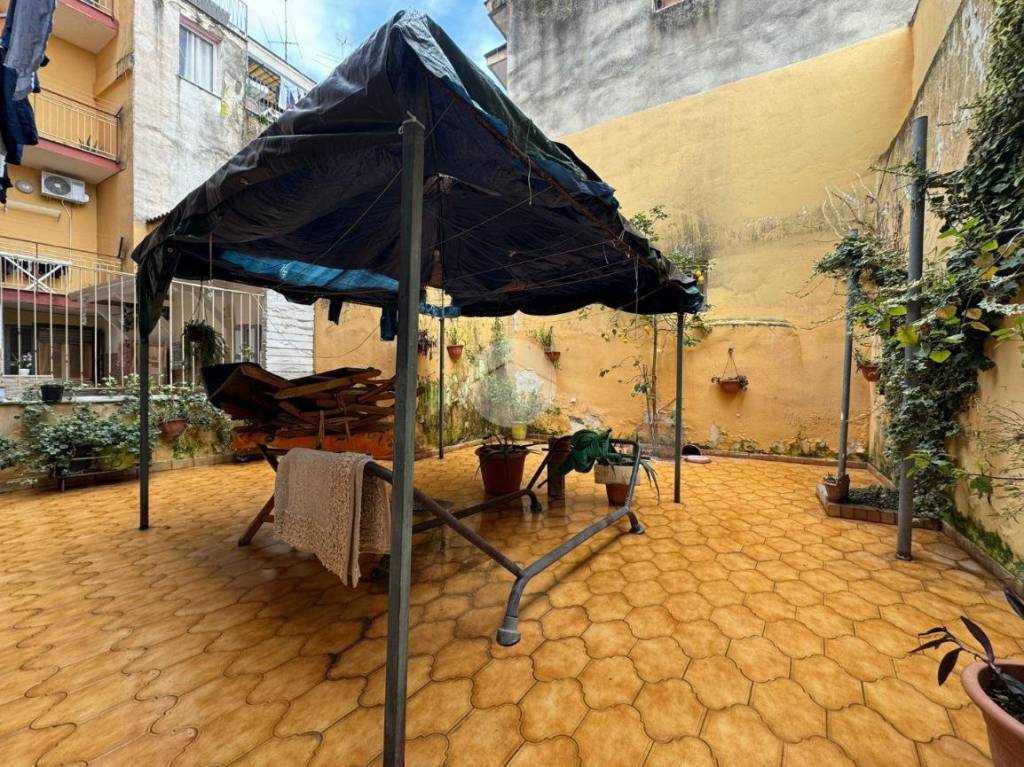 immagine annuncio 11 di 14