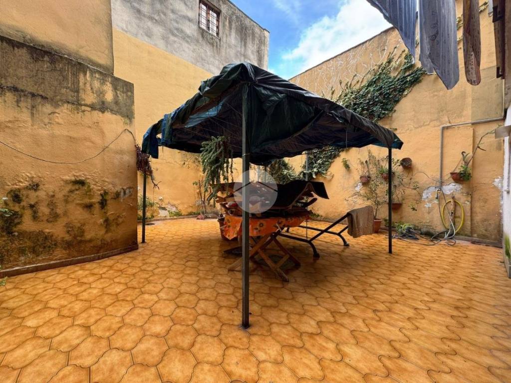 immagine annuncio 12 di 14