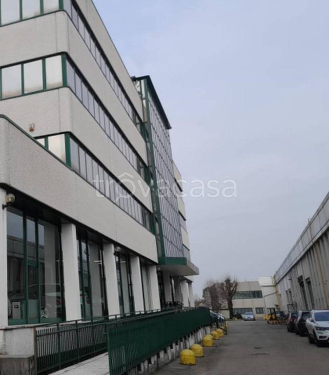 immagine annuncio 8 di 11